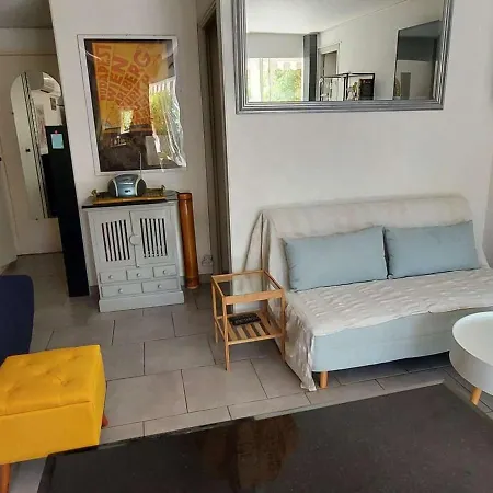 Appartement Climatise 3 Pieces, 6 Pers, Terrasse, Bbq, Parking Prive, A 100 M De La - Fr-1-423-253