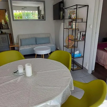 Climatise 3 Pieces, 6 Pers, Terrasse, Bbq, Parking Prive, A 100 M De La - Fr-1-423-253