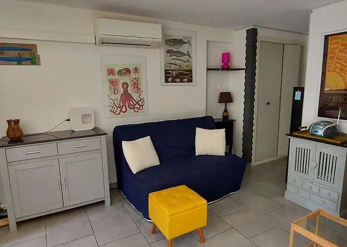Climatise 3 Pieces, 6 Pers, Terrasse, Bbq, Parking Prive, A 100 M De La - Fr-1-423-253 *