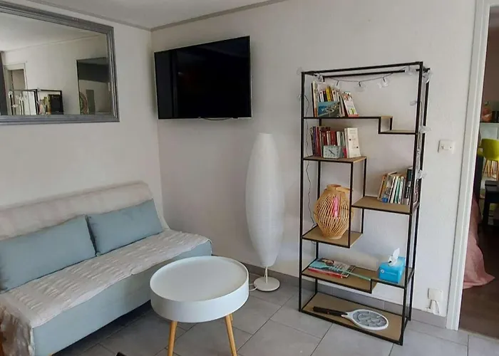 Climatise 3 Pieces, 6 Pers, Terrasse, Bbq, Parking Prive, A 100 M De La - Fr-1-423-253
