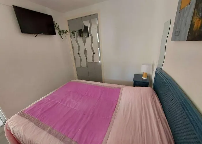아파트 Climatise 3 Pieces, 6 Pers, Terrasse, Bbq, Parking Prive, A 100 M De La - Fr-1-423-253 *