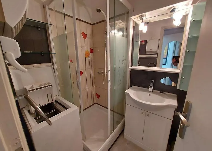 Climatise 3 Pieces, 6 Pers, Terrasse, Bbq, Parking Prive, A 100 M De La - Fr-1-423-253
