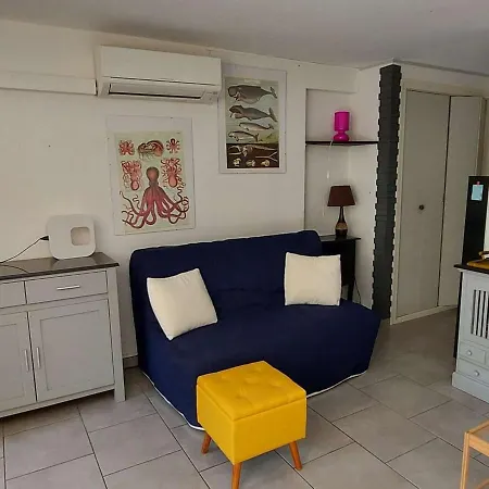 Climatise 3 Pieces, 6 Pers, Terrasse, Bbq, Parking Prive, A 100 M De La - Fr-1-423-253 *